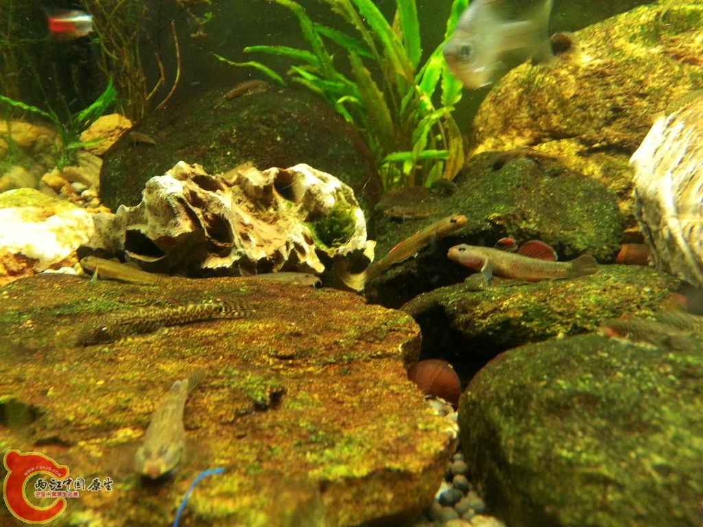 20140908_142852.jpg
