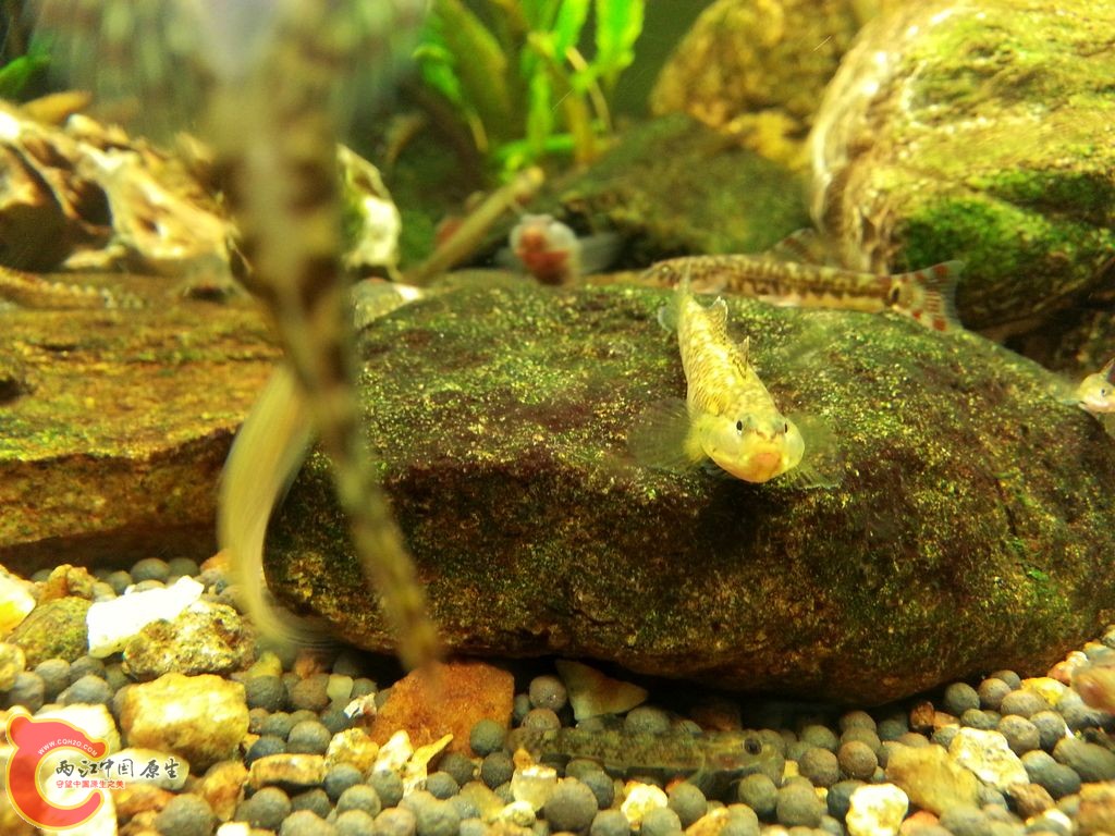 20140908_142910.jpg