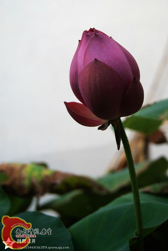 03.jpg