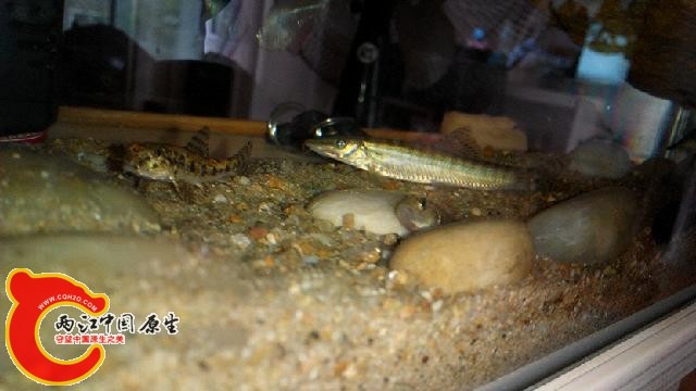 IMG_20140912_135635.jpg