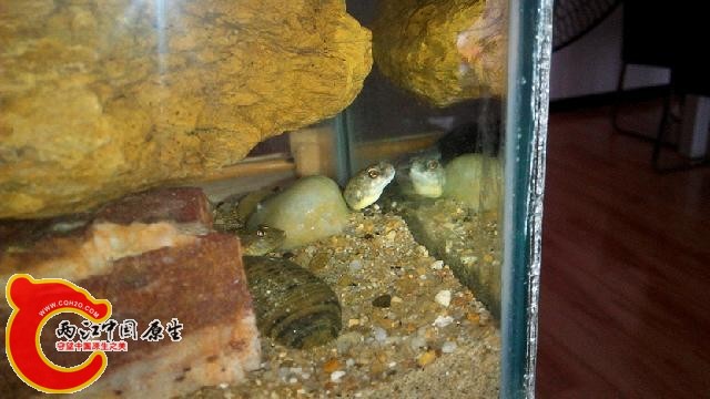 IMG_20140912_135647.jpg
