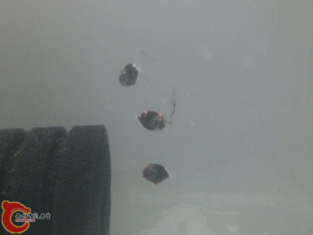 IMG20140912210926863.jpg