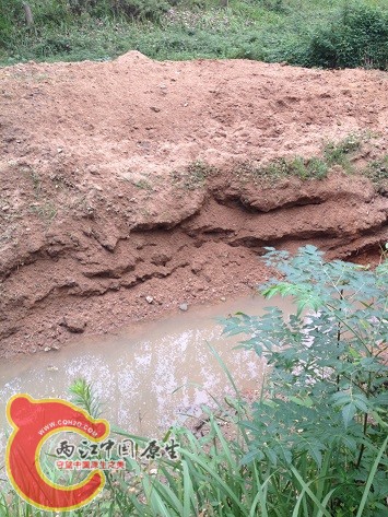 2014-08-09 133950.jpg