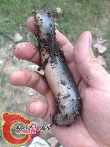 2014-08-09 144243.jpg