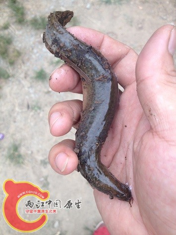 2014-08-09 144302.jpg