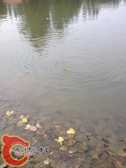 2014-08-10 174530.jpg