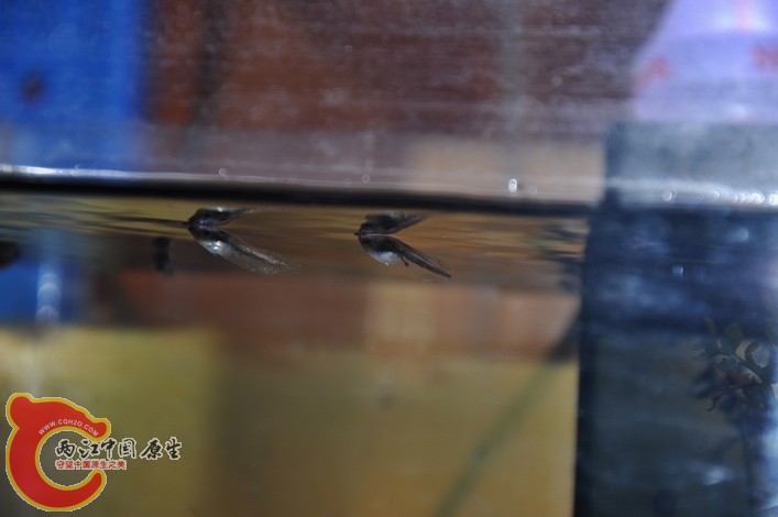 调整大小 调整大小 复制 DSC_0180.JPG