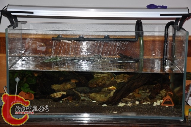 调整大小 调整大小 复制 DSC_0060.JPG