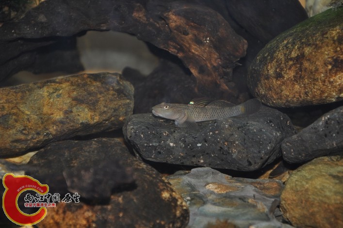 调整大小 调整大小 复制 DSC_0075.JPG