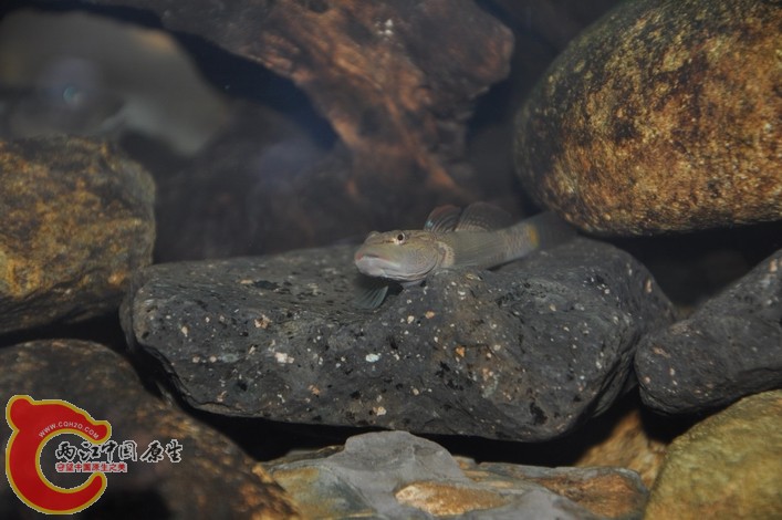 调整大小 调整大小 复制 DSC_0120.JPG