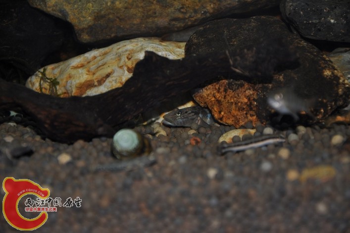 调整大小 调整大小 复制 DSC_0151.JPG