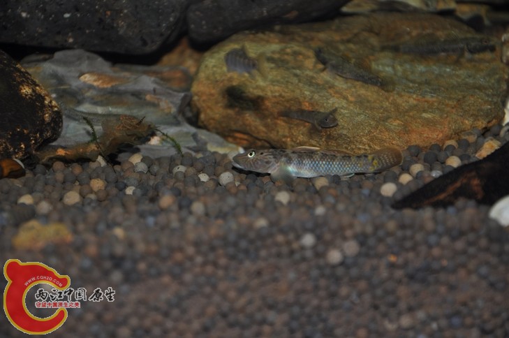 调整大小 复制 复制 DSC_0192.JPG