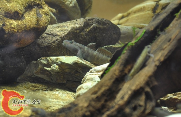 调整大小 复制 复制 DSC_0251.JPG