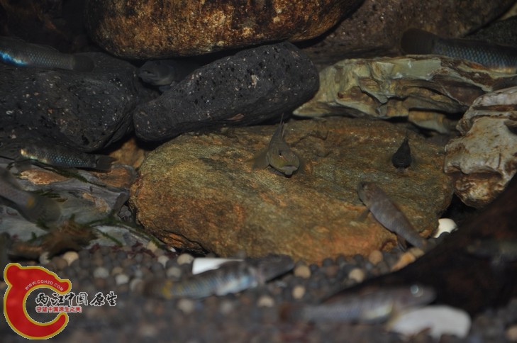 调整大小 复制 复制 DSC_0349.JPG