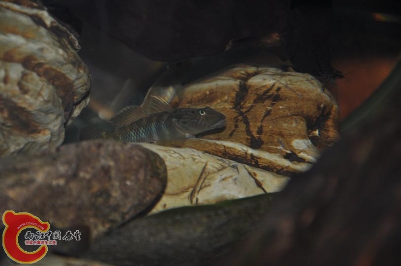 调整大小 复制 复制 DSC_0401.JPG