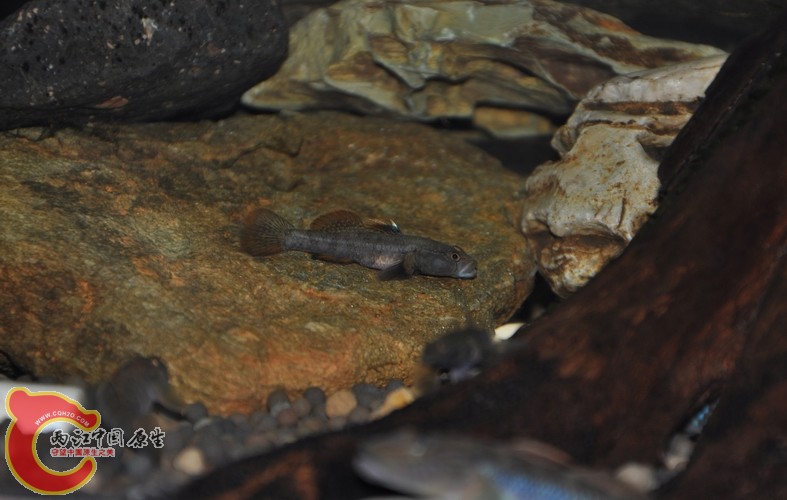 调整大小 复制 复制 DSC_0434.JPG