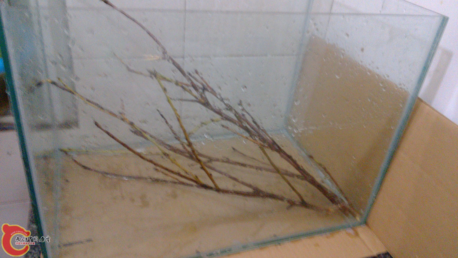 IMG_20140916_213639.jpg IMG_20140916_213639.jpg