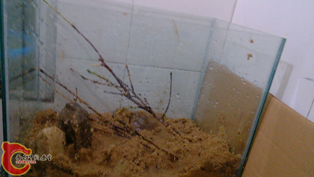 IMG_20140916_215003.jpg IMG_20140916_215003.jpg