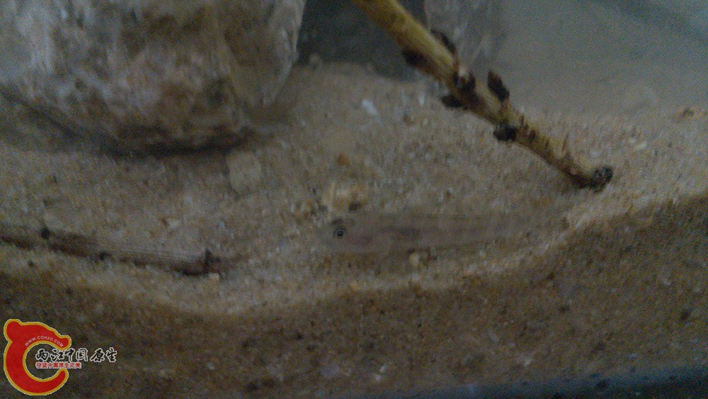 IMG_20140916_215739.jpg IMG_20140916_215739.jpg