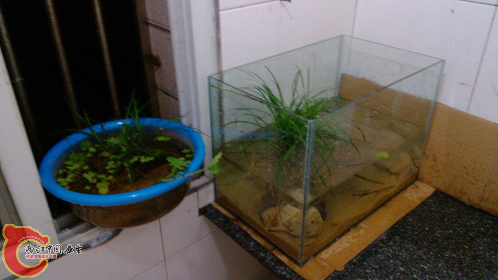 IMG_20140916_220040.jpg IMG_20140916_220040.jpg