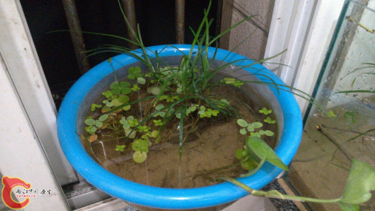 IMG_20140916_220049.jpg IMG_20140916_220049.jpg