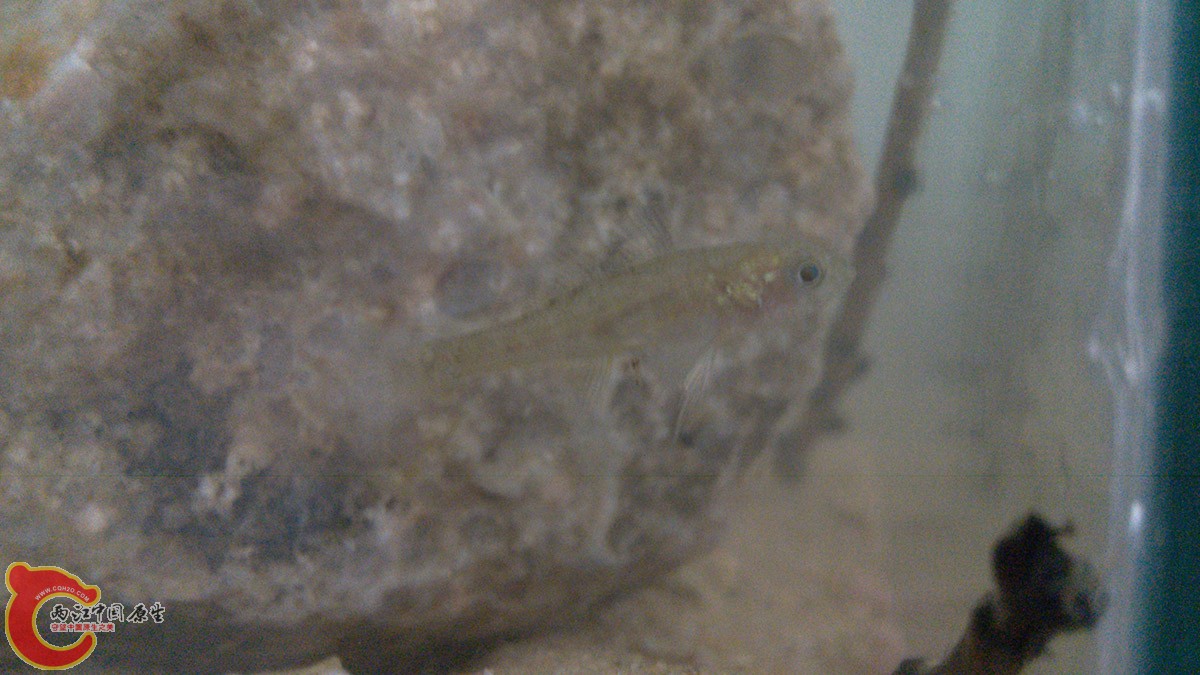 IMG_20140916_221905.jpg IMG_20140916_221905.jpg