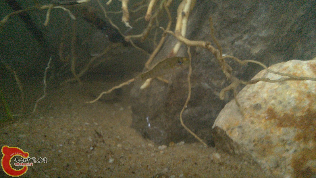 IMG_20140917_060811.jpg IMG_20140917_060811.jpg