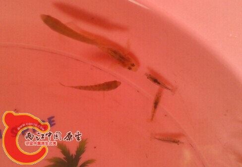 QQ图片20140921184901.jpg