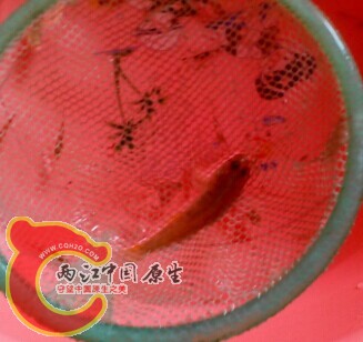 QQ图片20140921184916.jpg