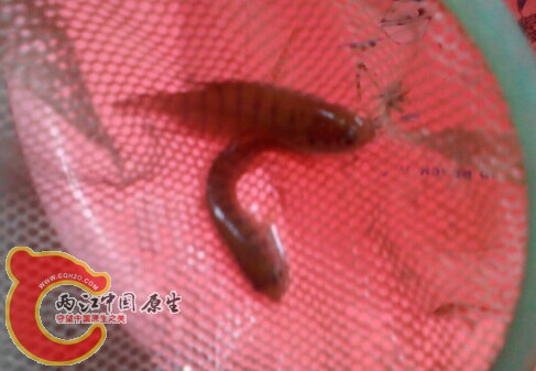 QQ图片20140921184923.jpg