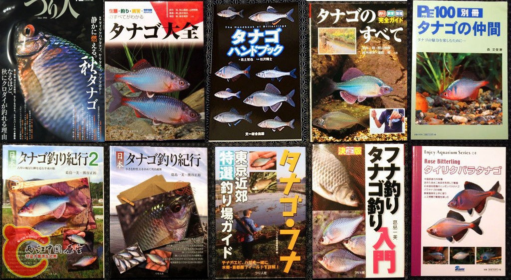 此外的鳑鲏书籍