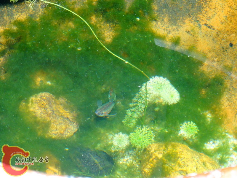 DSC00859.jpg