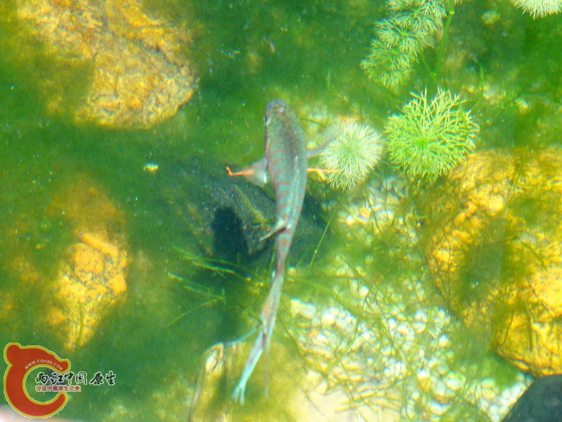 DSC00860.jpg