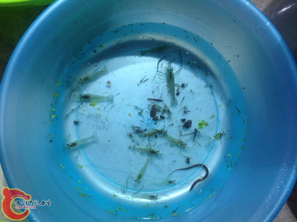 QQ图片20140925151423.jpg