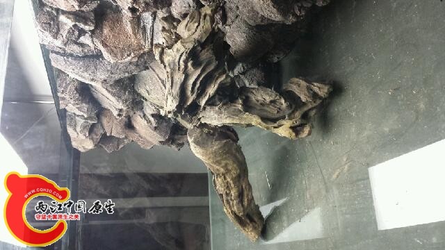 20140930_211616.jpg