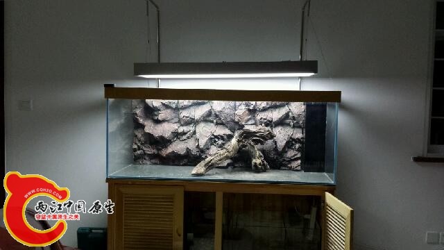 20140930_211549.jpg