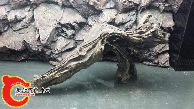 20140930_211404.jpg