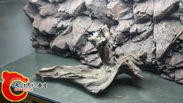 20140930_211316.jpg