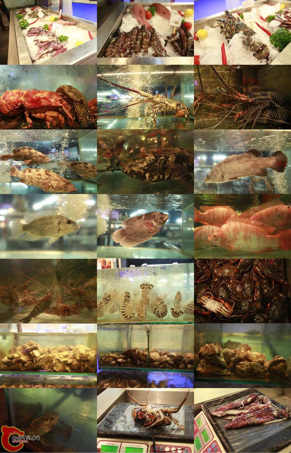 某海鲜馆.jpg