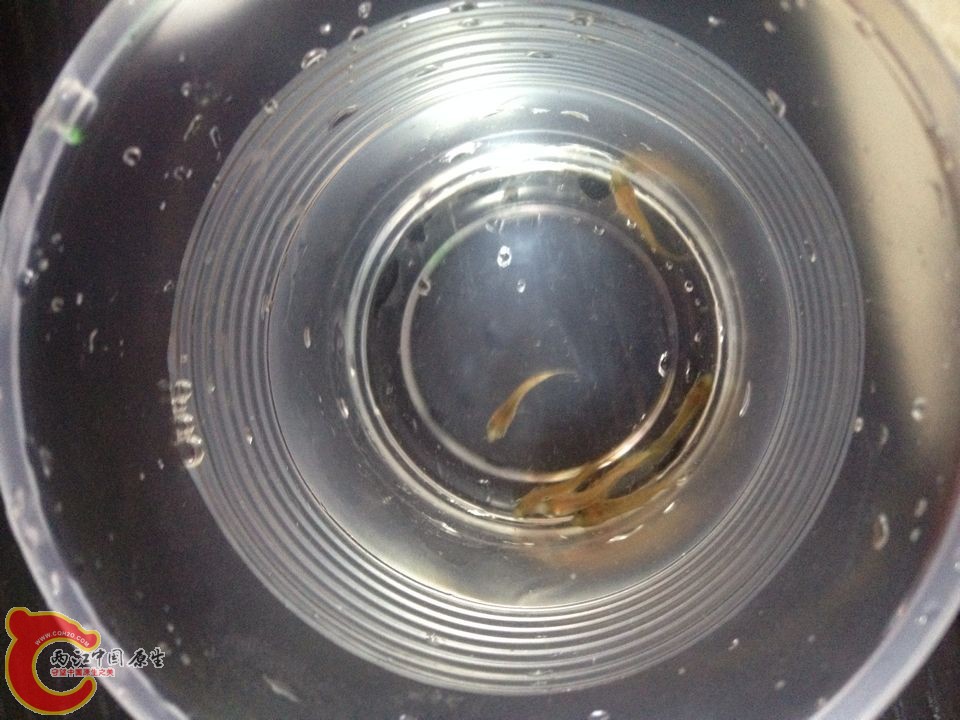 QQ图片20141002105425.jpg