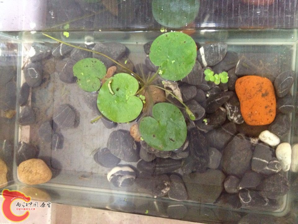 QQ图片20141002105429.jpg