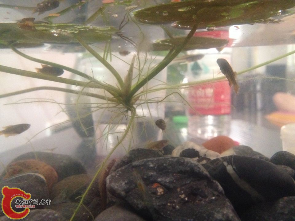 QQ图片20141002105434.jpg
