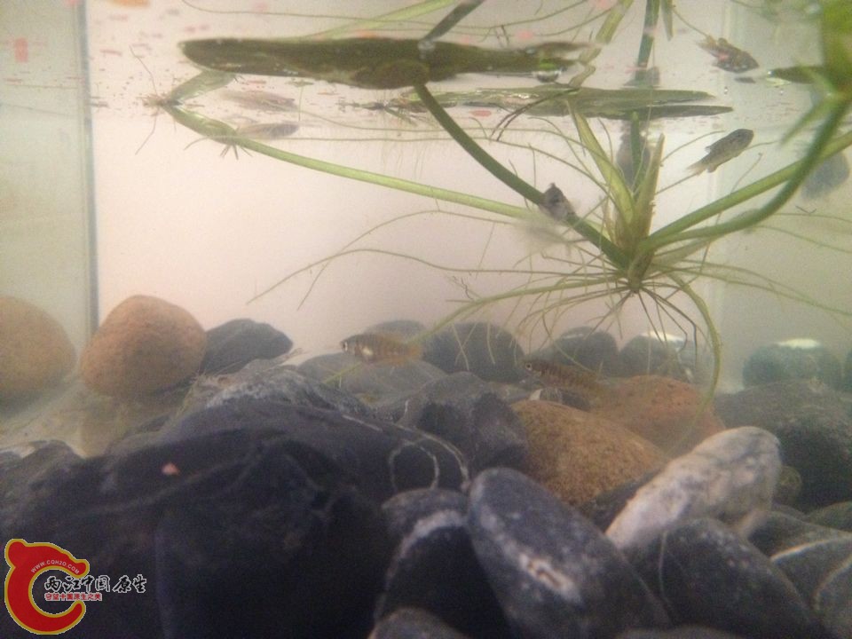 QQ图片20141002105437.jpg