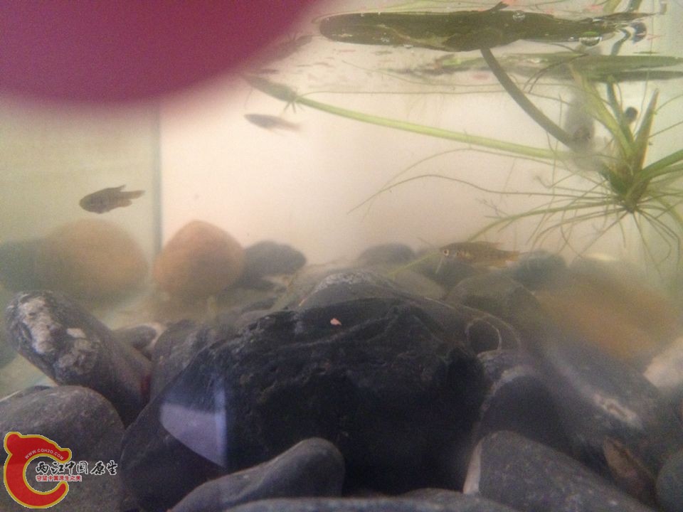 QQ图片20141002105441.jpg