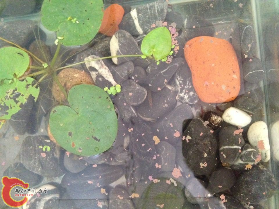 QQ图片20141002105451.jpg