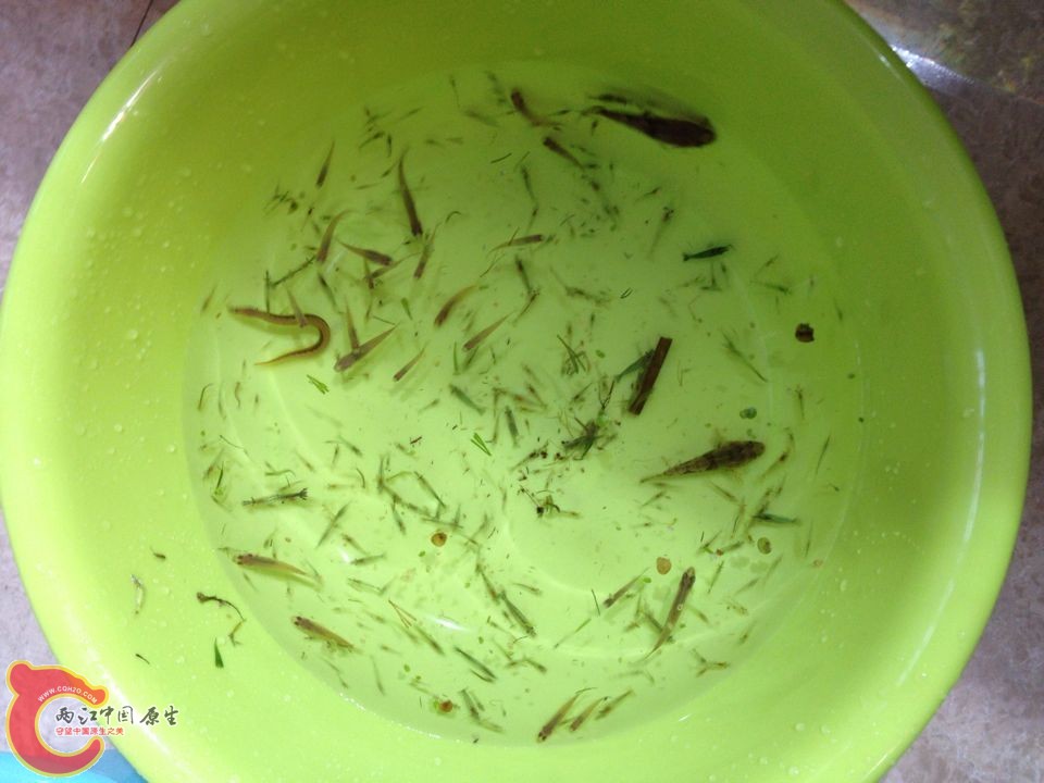 QQ图片20141002110145.jpg
