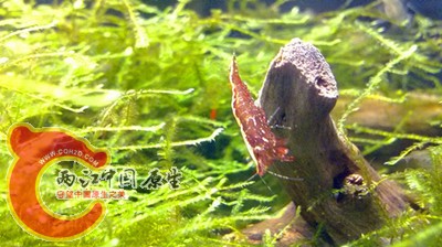 IMG_20141004_195909.jpg