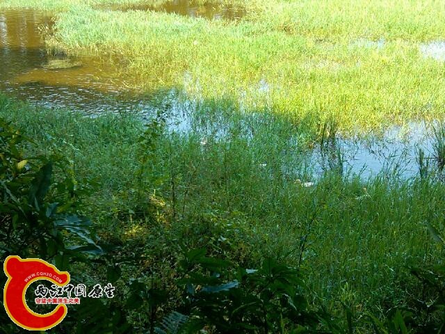 IMG_20141005_131841.jpg