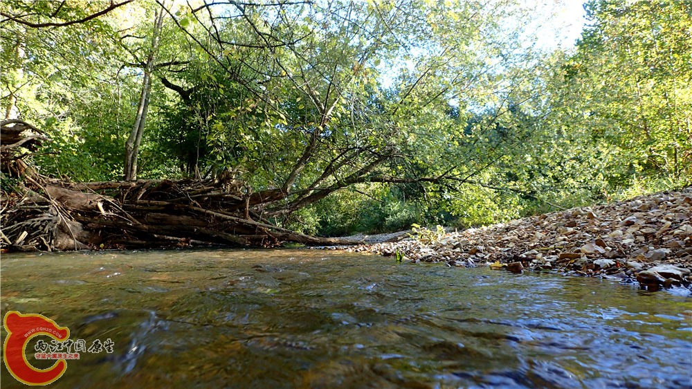 PA040636.jpg