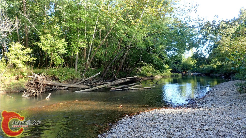 PA040637.jpg